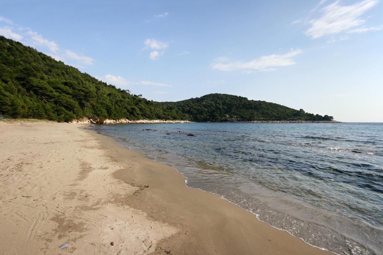 Apartments By The Sea Cove Saplunara, Mljet - 4896 Maranovići エクステリア 写真